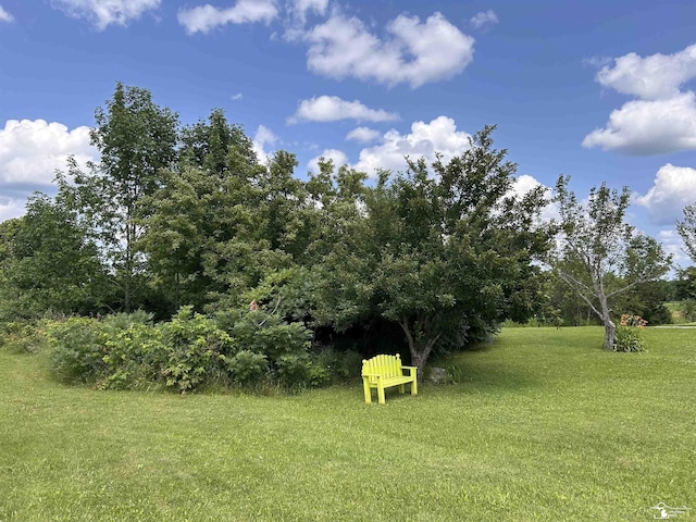 1645 N M-65 Rd, Curran, MI 48728 - view of grassy yard