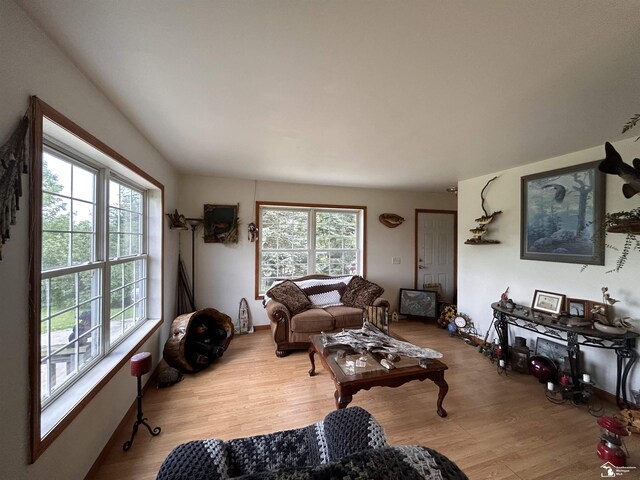 1645 N M-65 Rd, Curran, MI 48728 - living area featuring wood finished floors