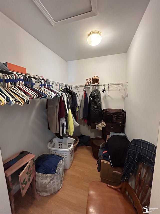 1645 N M-65 Rd, Curran, MI 48728 - walk in closet with wood finished floors and attic access