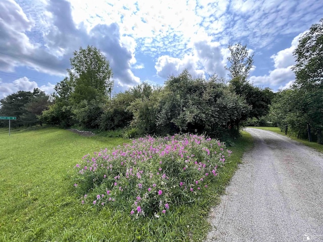 1645 N M-65 Rd, Curran, MI 48728 - view of dirt / gravel road