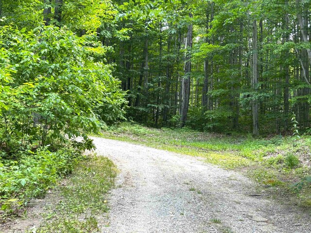 9031 NE County Road 612, Kalkaska, MI 49646 - photo 3