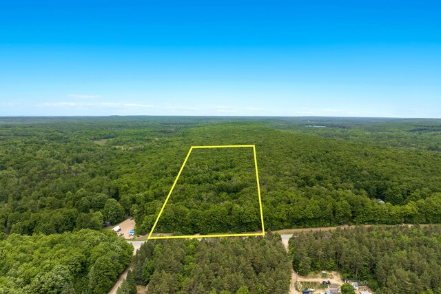 9031 NE County Road 612, Kalkaska, MI 49646 - photo 36