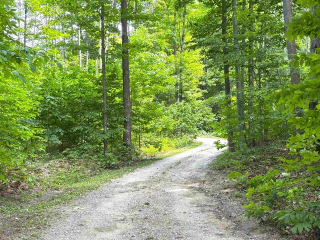 9031 NE County Road 612, Kalkaska, MI 49646 - photo 4