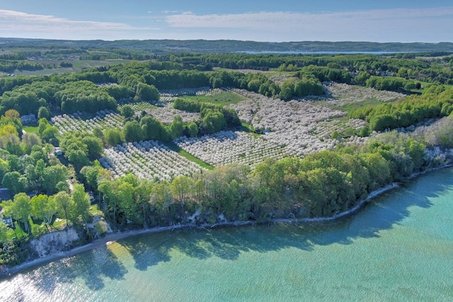 B S Lee Point Rd, Suttons Bay, MI 49682