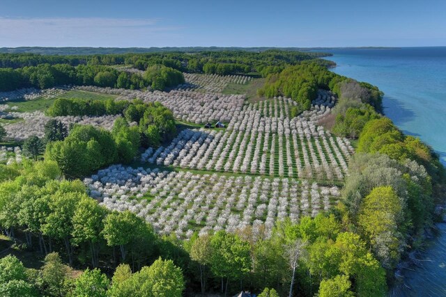 B S Lee Point Rd, Suttons Bay, MI 49682