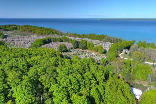 B S Lee Point Rd, Suttons Bay, MI 49682