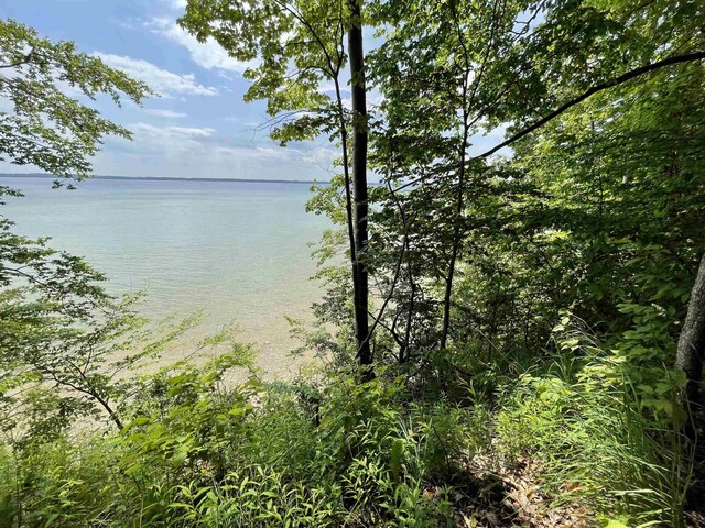 B S Lee Point Rd, Suttons Bay, MI 49682