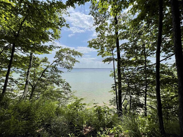 B S Lee Point Rd, Suttons Bay, MI 49682