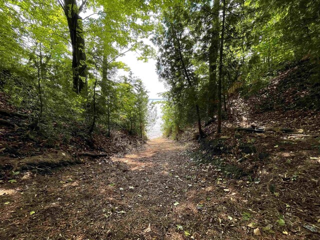 B S Lee Point Rd, Suttons Bay, MI 49682