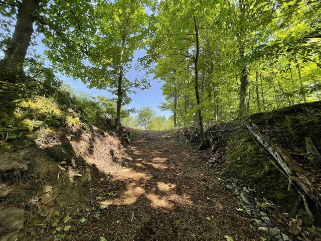 B S Lee Point Rd, Suttons Bay, MI 49682