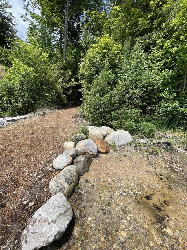 B S Lee Point Rd, Suttons Bay, MI 49682