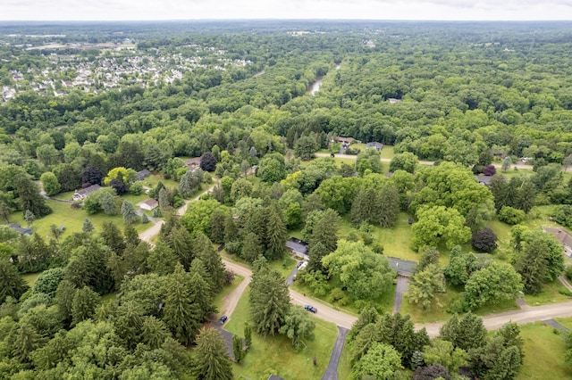 3431 Pineview Dr, Dexter, MI 48130 - drone / aerial view of a forest