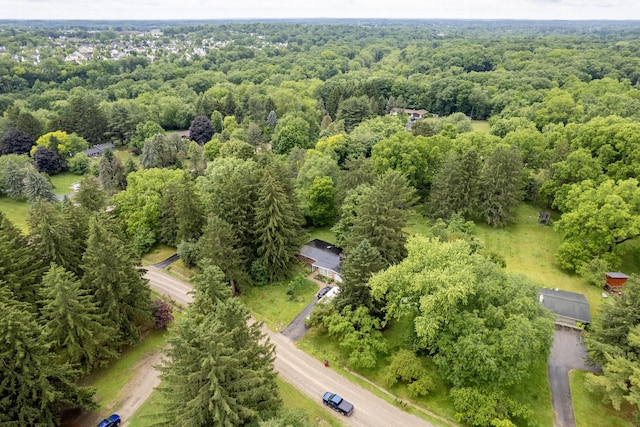 3431 Pineview Dr, Dexter, MI 48130 - bird's eye view of a heavily wooded area