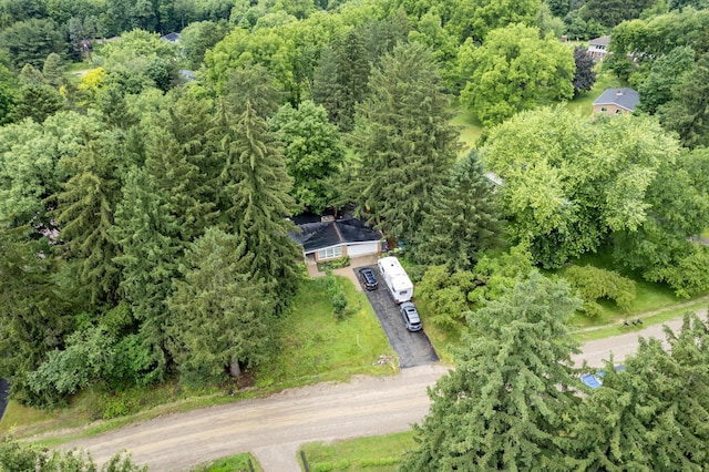 3431 Pineview Dr, Dexter, MI 48130 - aerial view of a forest