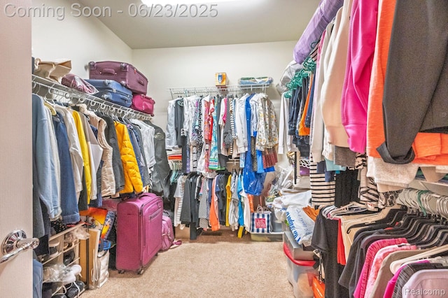 601 Acadia Ct, Howell, MI 48843 - spacious closet with carpet