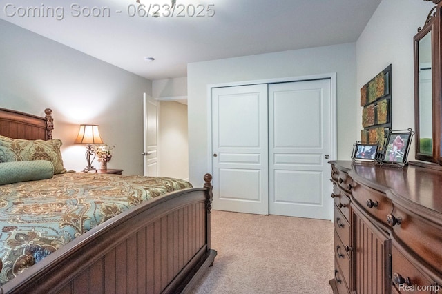 601 Acadia Ct, Howell, MI 48843 - bedroom with light colored carpet and a closet