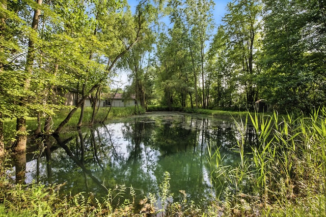 26434 King Rd, Romulus, MI 48174 - water view