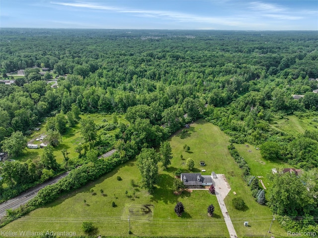 26855 King Rd, Brownstown, MI 48174 - drone / aerial view of a forest