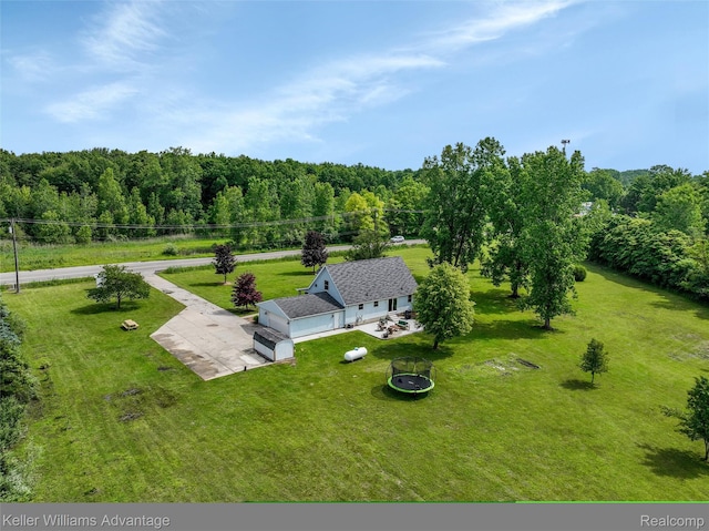 26855 King Rd, Brownstown, MI 48174 - view of subject property featuring a forest