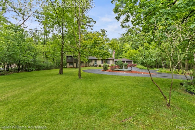 29866 Woodland Dr, Southfield, MI 48034 - view of grassy yard featuring asphalt driveway