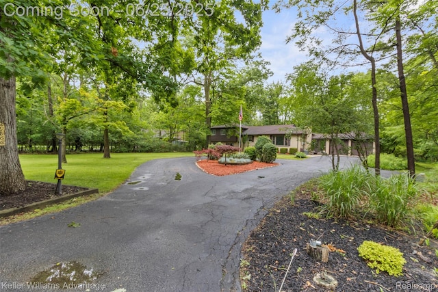 29866 Woodland Dr, Southfield, MI 48034 - view of front facade with asphalt driveway, a front yard, and view of scattered trees