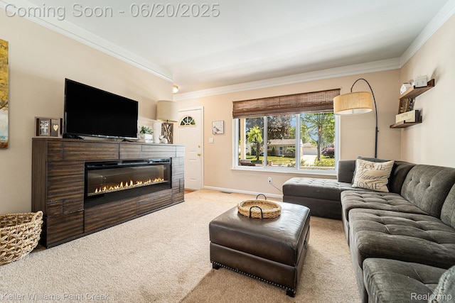 12141 Danforth Dr, Sterling Heights, MI 48312 - living room featuring crown molding, carpet, and a glass covered fireplace