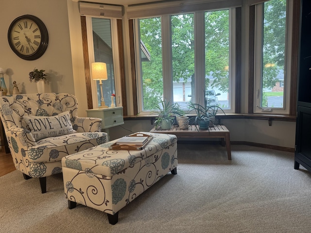7337 Pine Grove Dr, Jenison, MI 49428 - sitting room with carpet