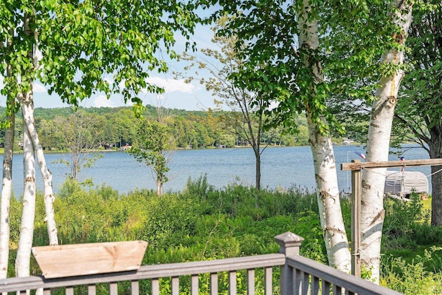533 S Lake Shore Dr, Lake Leelanau, MI 49653