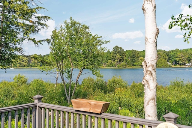 533 S Lake Shore Dr, Lake Leelanau, MI 49653