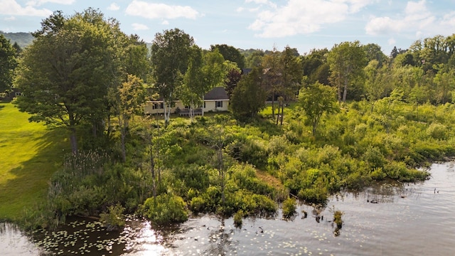 533 S Lake Shore Dr, Lake Leelanau, MI 49653
