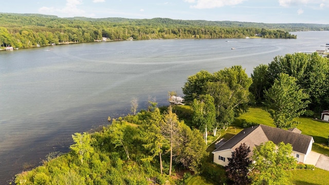 533 S Lake Shore Dr, Lake Leelanau, MI 49653