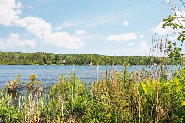 533 S Lake Shore Dr, Lake Leelanau, MI 49653