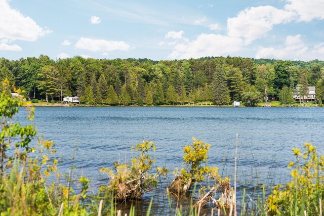 533 S Lake Shore Dr, Lake Leelanau, MI 49653