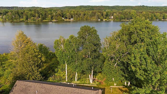 533 S Lake Shore Dr, Lake Leelanau, MI 49653