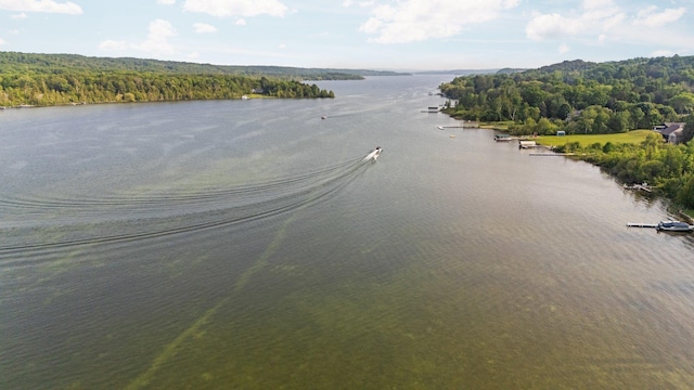533 S Lake Shore Dr, Lake Leelanau, MI 49653