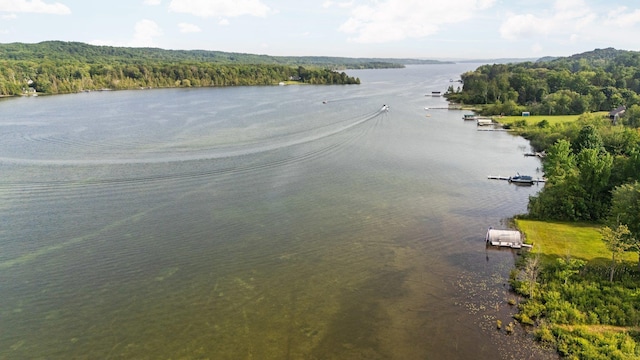 533 S Lake Shore Dr, Lake Leelanau, MI 49653