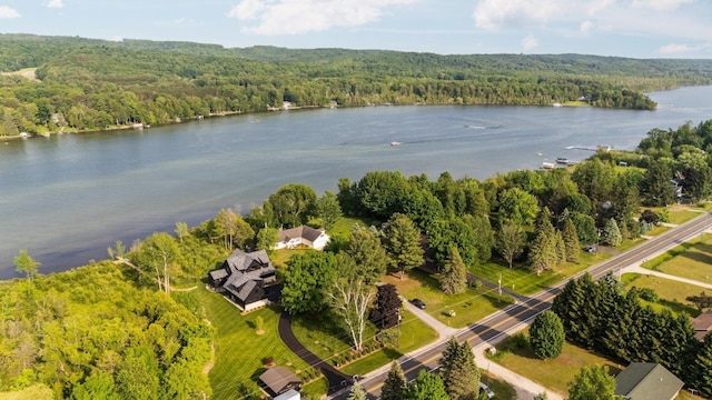 533 S Lake Shore Dr, Lake Leelanau, MI 49653