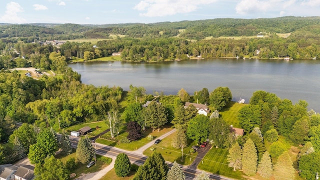 533 S Lake Shore Dr, Lake Leelanau, MI 49653
