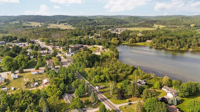 533 S Lake Shore Dr, Lake Leelanau, MI 49653
