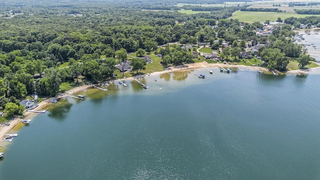 1256 Barron Lake Rd, Niles, MI 49120 - aerial view of a large body of water