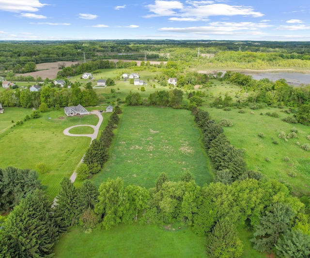 4641 Wylie Rd, Dexter, MI 48130 - overview of rural landscape