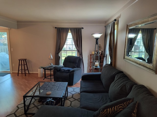 24654 Spring Ln, Harrison Township, MI 48045 - living area featuring wood finished floors and ornamental molding