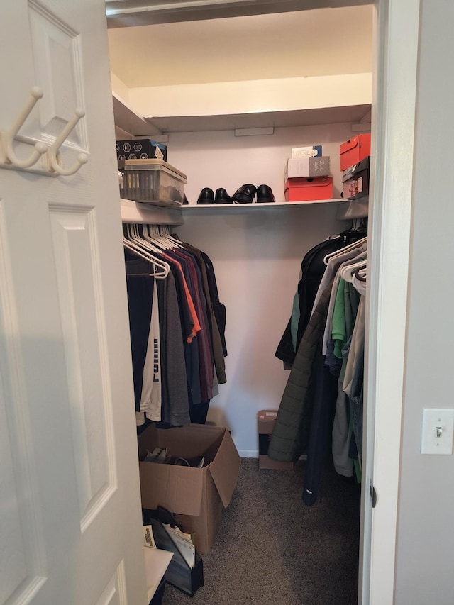 24654 Spring Ln, Harrison Township, MI 48045 - walk in closet with carpet floors