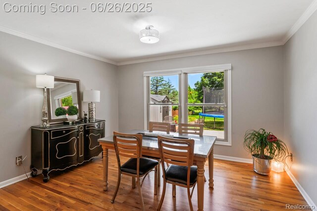 12031 Townline Rd, Grand Blanc, MI 48439 - photo 12