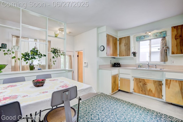 24745 Ross Dr, Redford, MI 48239 - kitchen featuring a sink and light countertops