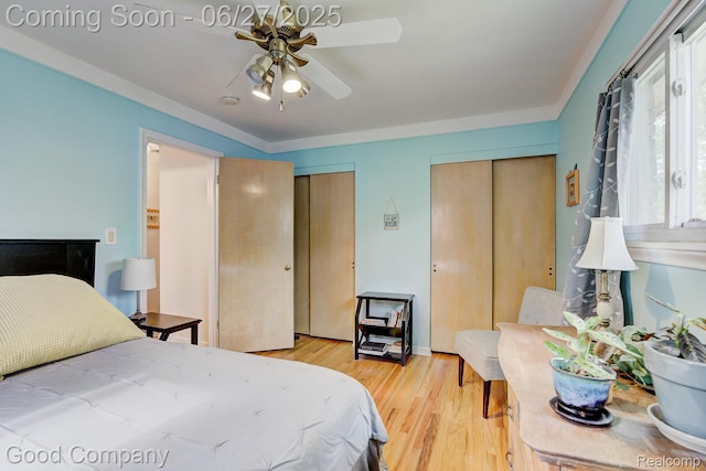 24745 Ross Dr, Redford, MI 48239 - bedroom with multiple closets, light wood-type flooring, and ceiling fan