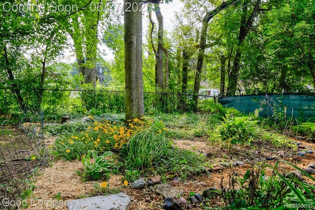 24745 Ross Dr, Redford, MI 48239 - view of yard