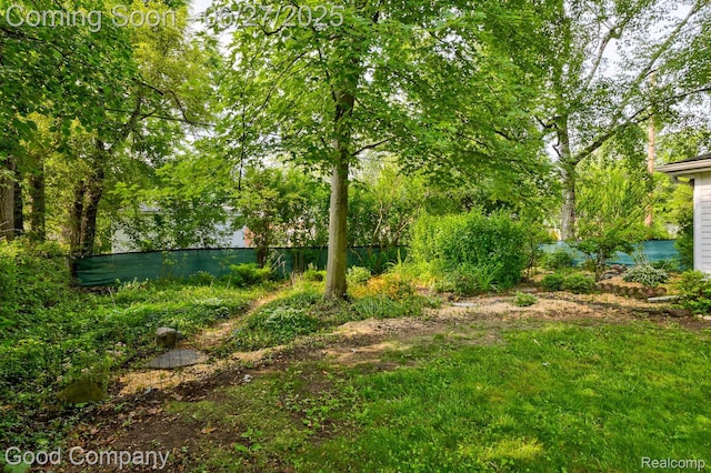 24745 Ross Dr, Redford, MI 48239 - view of yard