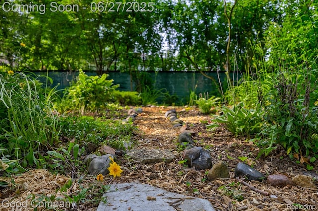 24745 Ross Dr, Redford, MI 48239 - view of yard