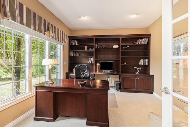 10310 E Rivershore Dr SE, Alto, MI 49302 - office space featuring baseboards and light carpet